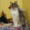 Отзыв от Альфия Минаева